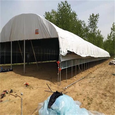 九江地區(qū)養(yǎng)殖大棚設(shè)計及建設(shè)工程方案要點(diǎn)解析